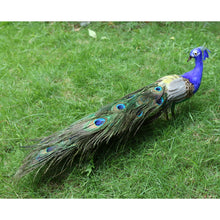 Load image into Gallery viewer, Artificial Peacock Bird Realistic Taxidermy
